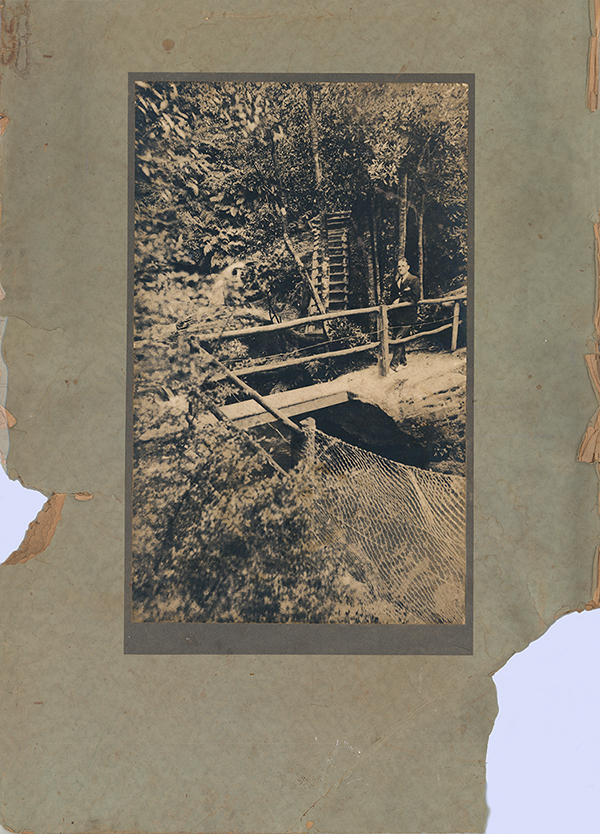 Charles Hindmarsh on a bush track in the Blue Mountains