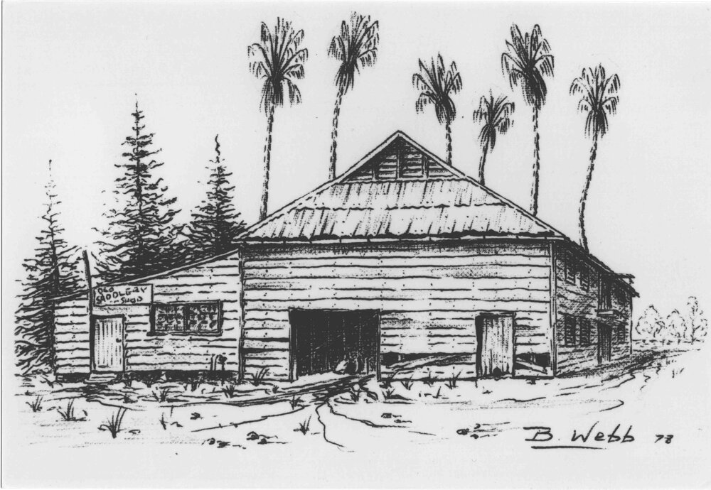 Print - Sketch by Brian Webb (5 of 5) - Old saddlery shed [Hawkesbury Agricultural College (HAC)]