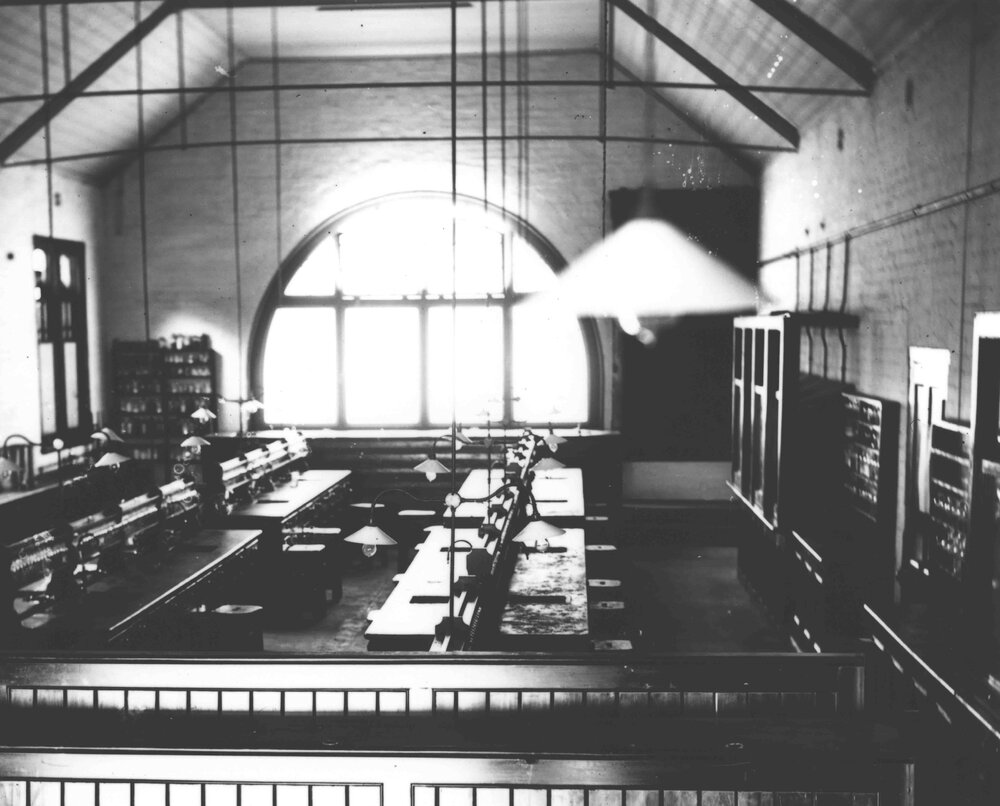 Chemical Laboratory - student work benches [Hawkesbury Agricultural College (HAC)]