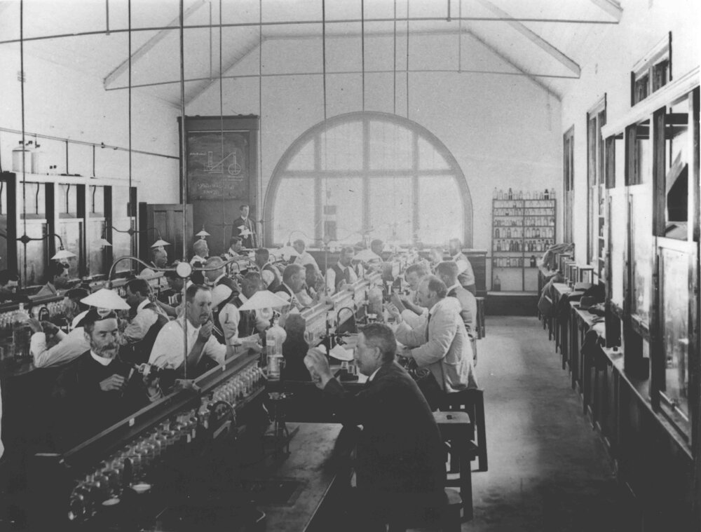 Chemistry Laboratory - Students at work [Hawkesbury Agricultural College (HAC)]