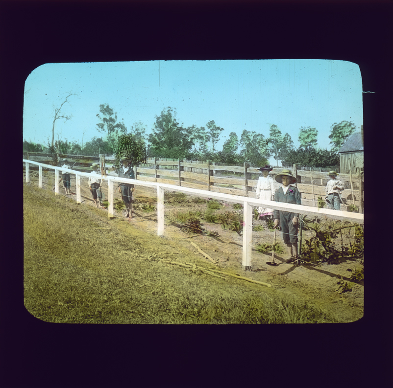 Children working in vegetable garden [Hawkesbury Agricultural College (HAC)]
