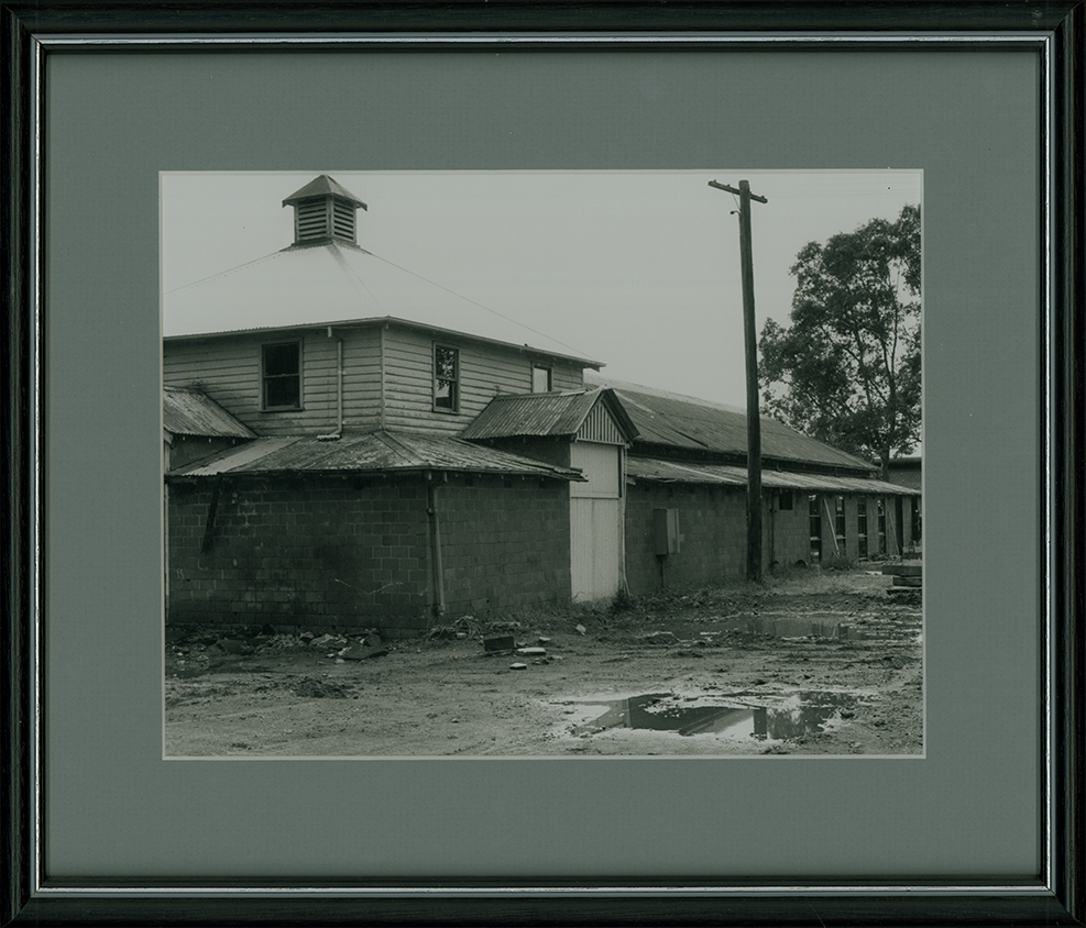 Dairy Bails - Milking shed exterior [Hawkesbury Agricultural College (HAC)]