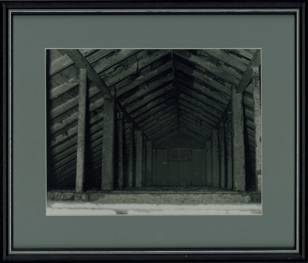 Dairy Bails (interior) - Roof space [Hawkesbury Agricultural College (HAC)]