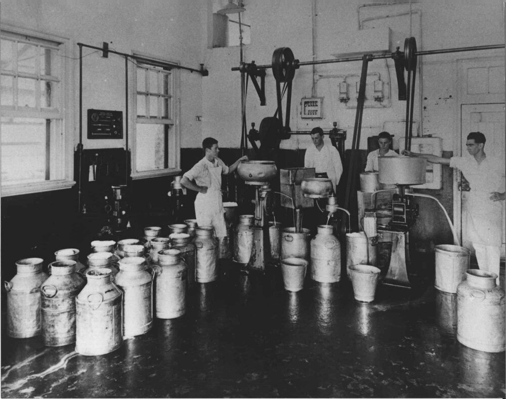 Dairy Factory (interior) - Separating Room - Students at work [Hawkesbury Agricultural College (HAC)]