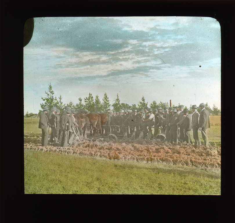 Demonstration of plough pulled by four horses, men gathered around watching [Hawkesbury Agricultural College (HAC)]