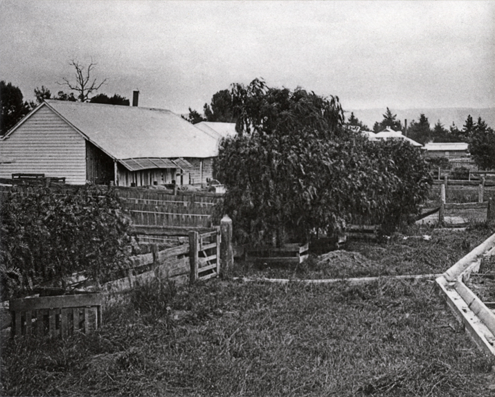 Piggery buildings - the building to the left could be the Office or Farrowing Shed [Hawkesbury Agricultural College (HAC)]