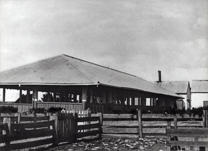 Piggery buildings showing pens, boiler house, smoke house and farrowing sheds [Hawkesbury Agricultural College (HAC)]