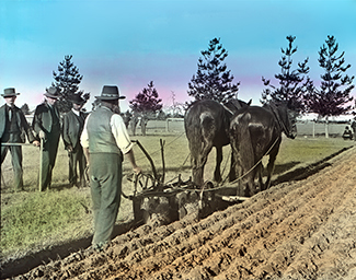 Ploughing - two horse team [Hawkesbury Agricultural College (HAC)]
