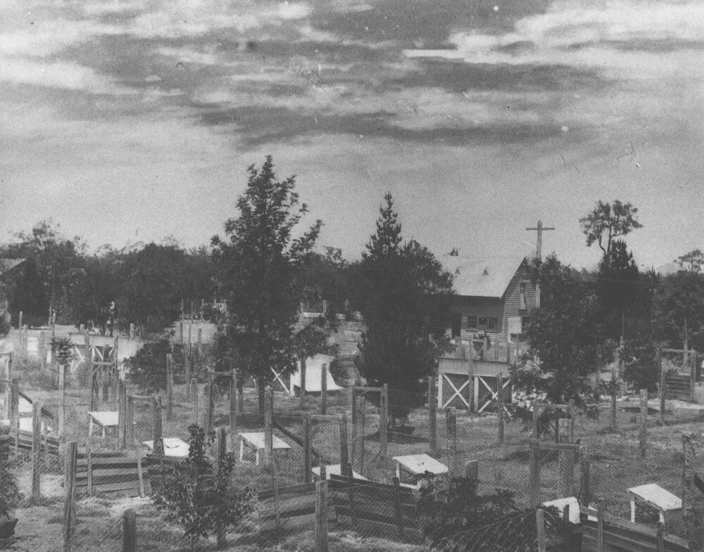 Poultry section [Hawkesbury Agricultural College (HAC)]