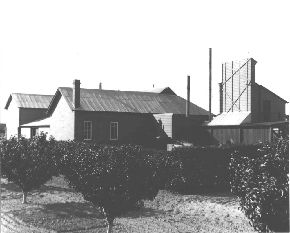 Preserving Shed (exterior) - fruit trees in foreground [Hawkesbury Agricultural College (HAC)]