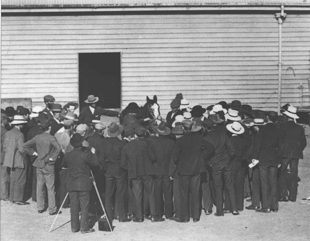 Students grouped around a horse under instruction of Vet - inside Stable Square [Hawkesbury Agricultural College (HAC)]