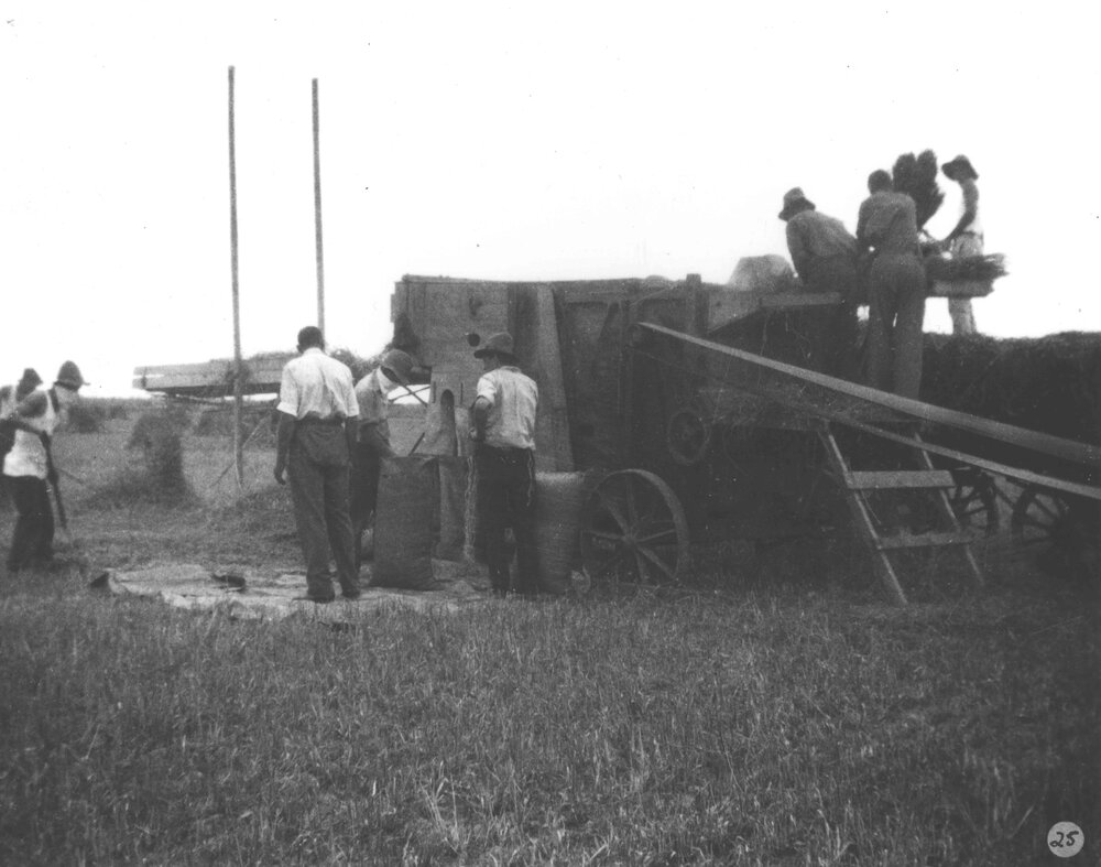 Students under instruction at a grain thresher - loading and bagging [Hawkesbury Agricultural College (HAC)]
