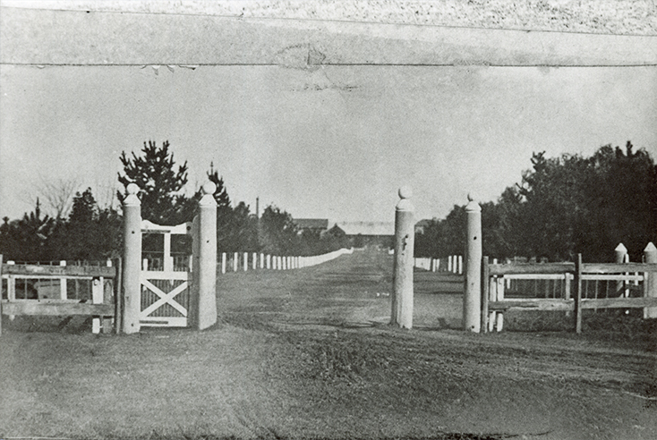 The front gates to the College with Administration Buildings (?) in the background (Unropped) [Hawkesbury Agricultural College (HAC)]