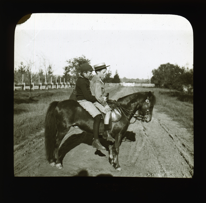 Two boys in school uniform on a pony [Hawkesbury Agricultural College (HAC)]