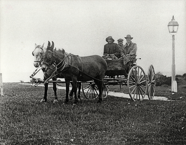 Wagonette drawn by a two-mule team - Three elderly men, rugged up in great coats and hats, sitting in the wagon [Hawkesbury Agricultural College (HAC)]