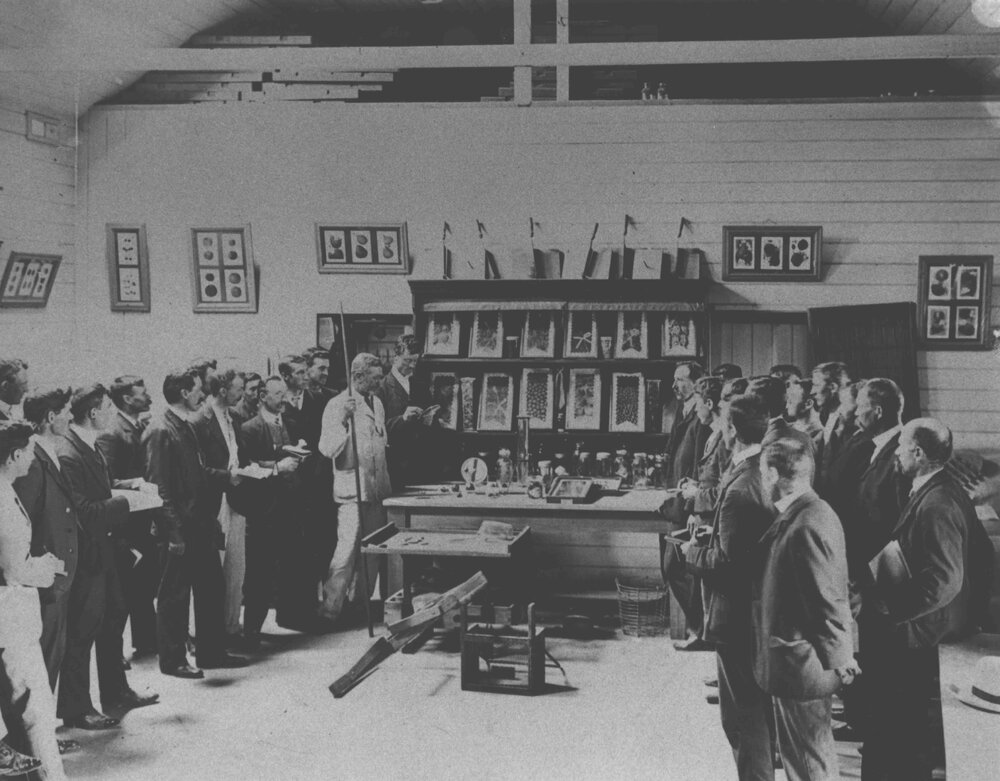 Winter School for Farmers - Students listening to an instructor in Horticulture [Hawkesbury Agricultural College (HAC)]
