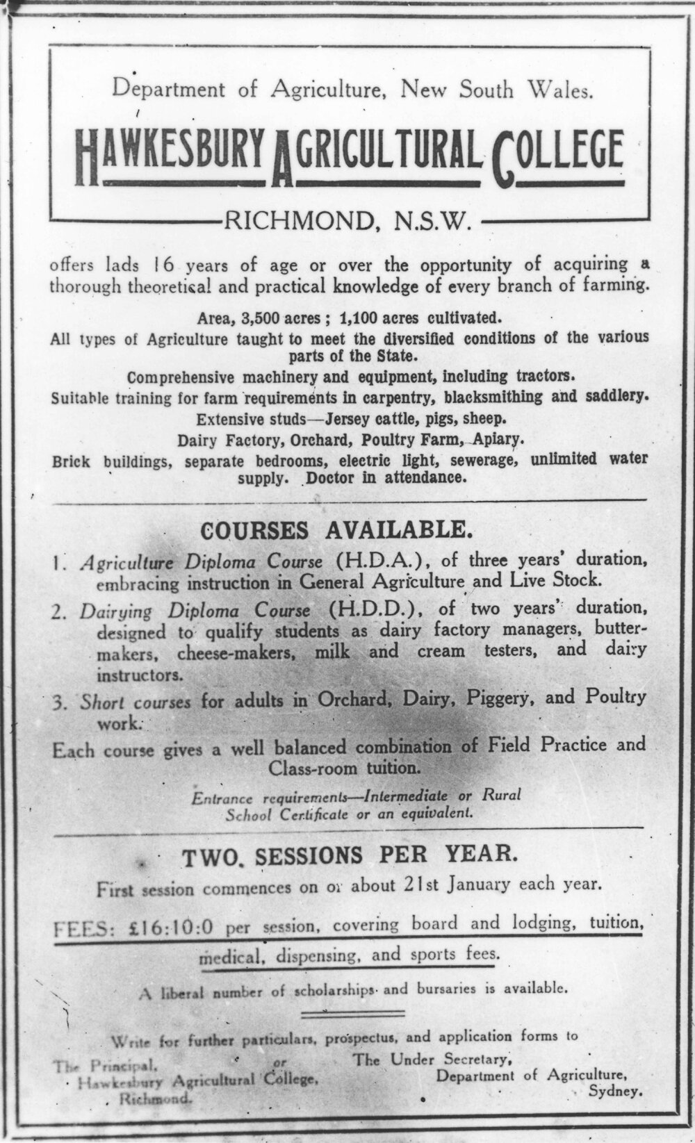 Advertisement of course offerings at HAC [Hawkesbury Agricultural College (HAC)]
