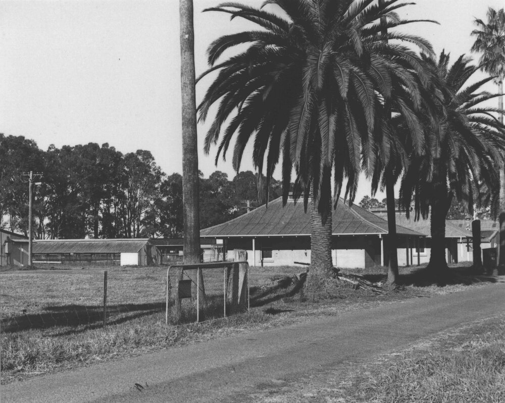 Poultry area [Hawkesbury Agricultural College (HAC)]