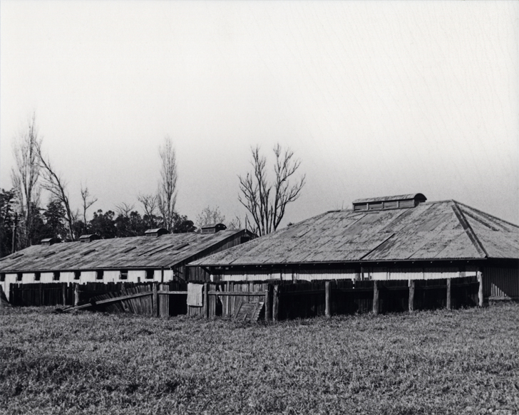 Farrowing Shed and Boar House (exterior) - Print 1 of 9 [Hawkesbury Agricultural College (HAC)]
