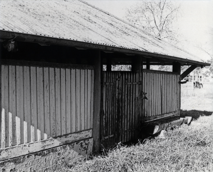 Boar Shed (exterior) - Print 8 of 9 [Hawkesbury Agricultural College (HAC)]