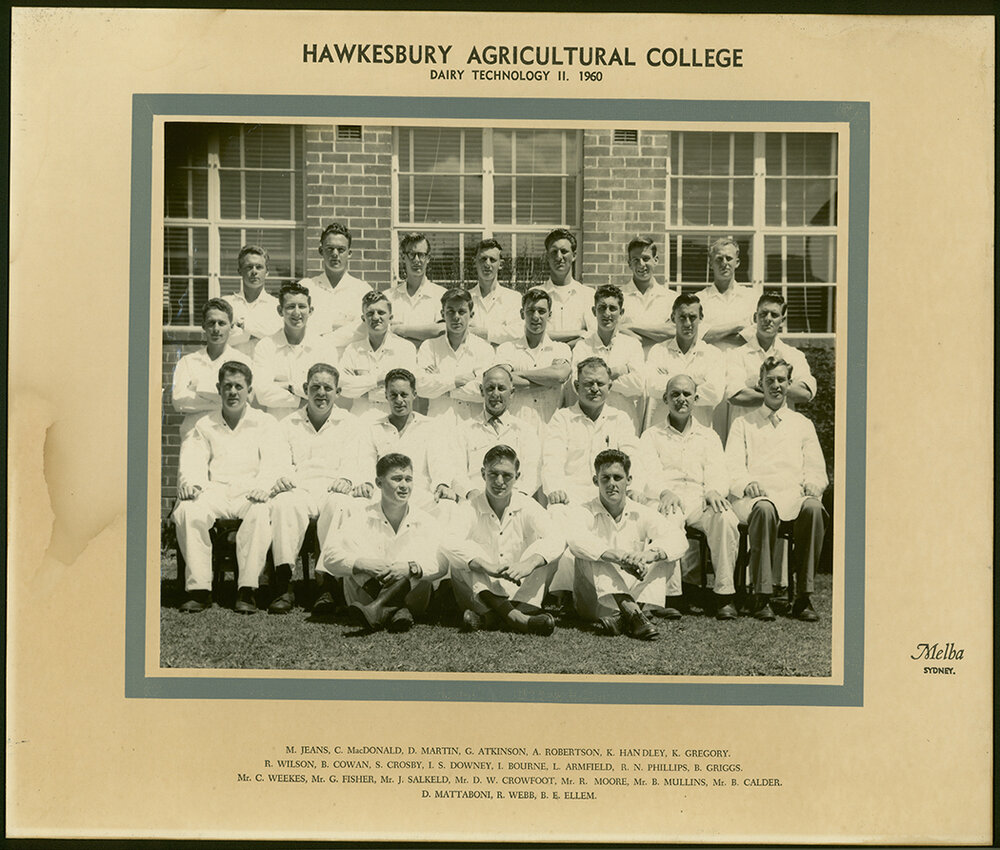 Dairy Technology II class, 1960 [Hawkesbury Agricultural College (HAC)]
