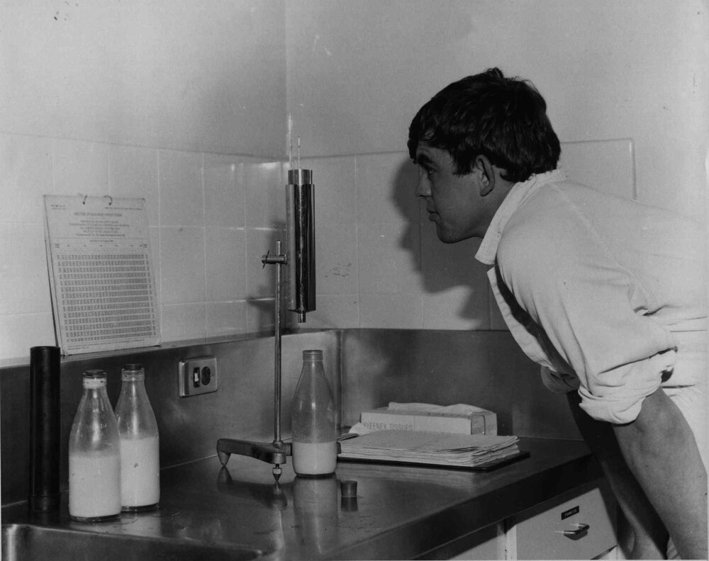 Interior scene in dairy factory showing student Quill (Dairy Technology I, 1968) checking a chart [Hawkesbury Agricultural College (HAC)]