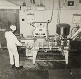 Dairy Factory (interior): students at work with machinery pouring milk into cartons (Print 9 of 9) [Hawkesbury Agricultural College (HAC)]