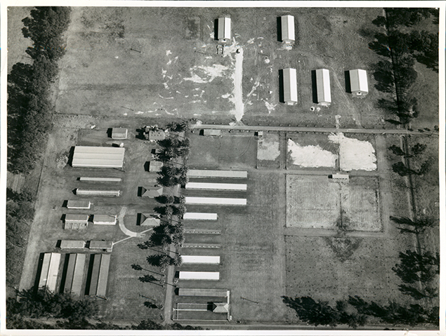 Aerial photograph - Poultry Section of the College [Hawkesbury Agricultural College (HAC)]