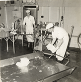 Dairy Factory (interior): showing students at work and machinery - cutting &amp; packaging butter (Print 6 of 9) [Hawkesbury Agricultural College (HAC)]
