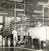 Dairy Factory (interior): showing students at work and milk tanks and milk cans (Print 2 of 9) [Hawkesbury Agricultural College (HAC)]