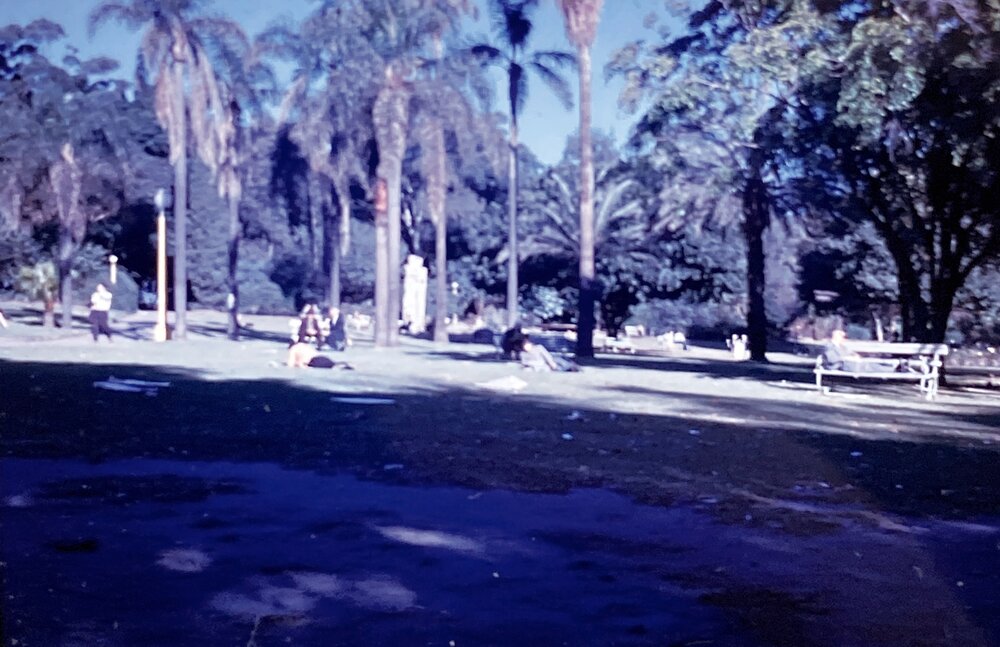 Hyde Park - Photo 178