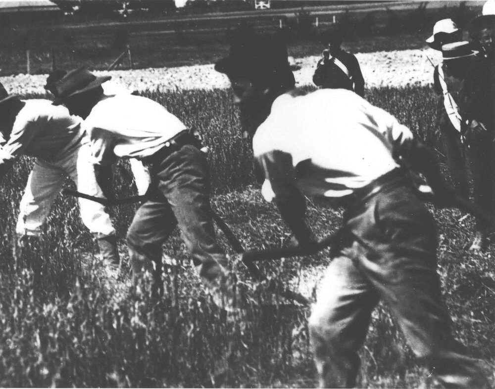 Mowing class - mowing with scythes (Youth Camp Schools boys looking on) [Hawkesbury Agricultural College (HAC)]