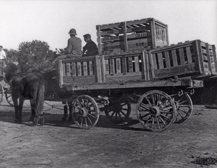 Pigs - Shipment of pig crates en-route to the railway station for the Northern Territory [Hawkesbury Agricultural College (HAC)]
