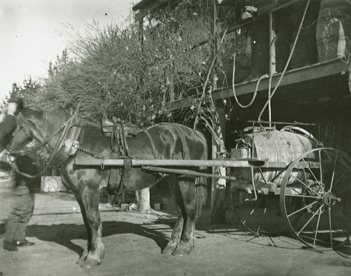 Dray with orchard spraying equipment - fill up outside Experimental Plots Shed (built 1896) [Hawkesbury Agricultural College (HAC)]