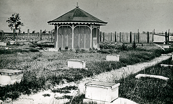 Early view of Apiary and kiosk (tea room) - opposite poultry cottage [Hawkesbury Agricultural College (HAC)]