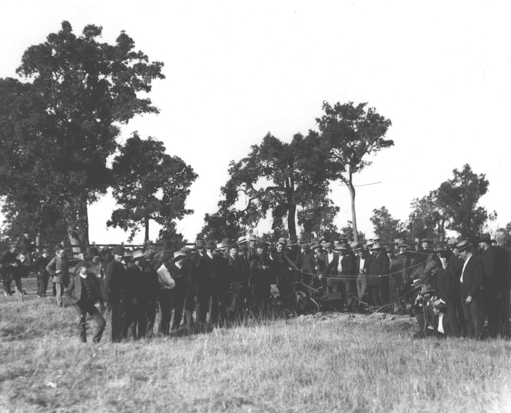 Field Day, 1911 - Visitors crowded around a horse-drawn plough [Hawkesbury Agricultural College (HAC)]