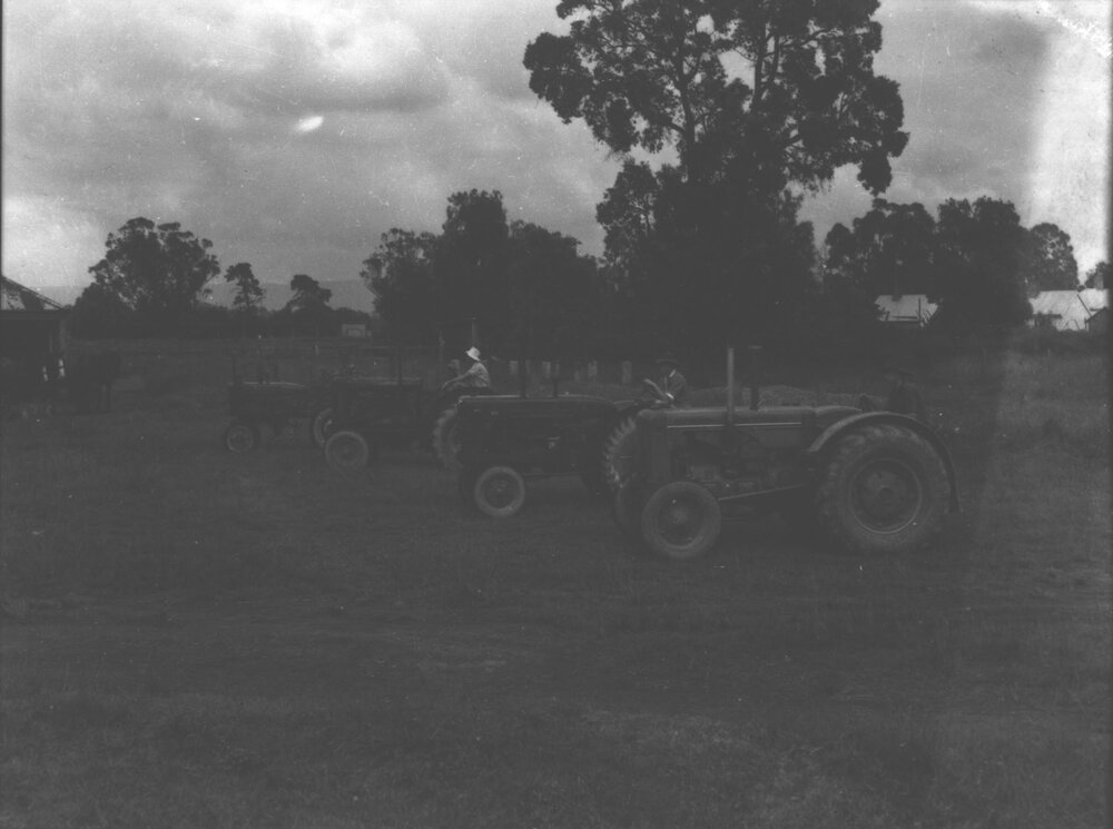 Four tractors on display in a paddock [Hawkesbury Agricultural College (HAC)]