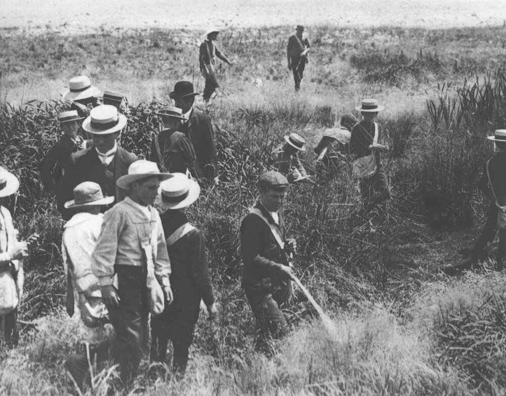 Youth Camp School, 1909 - Group of young boys in a field with an instructor [Hawkesbury Agricultural College (HAC)]