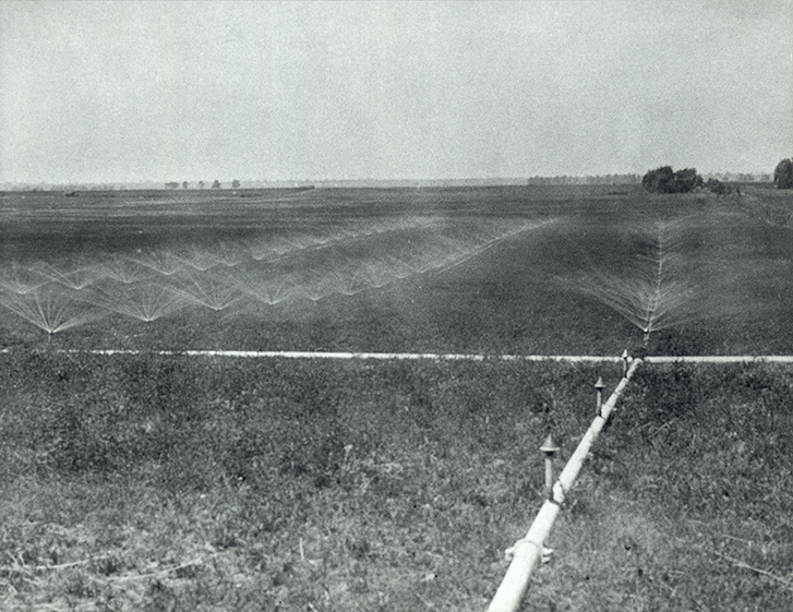 Irrigation on River Farm [Hawkesbury Agricultural College (HAC)]