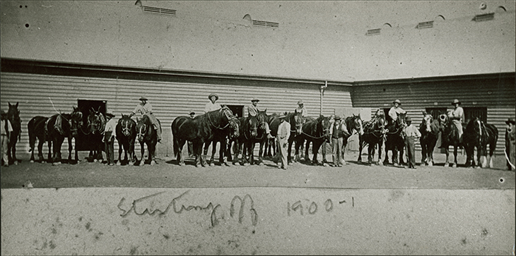 Students and horses inside Stable Square [Hawkesbury Agricultural College (HAC)]