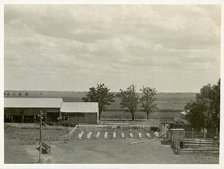 River Farm - Beehives set out in rows [Hawkesbury Agricultural College (HAC)]