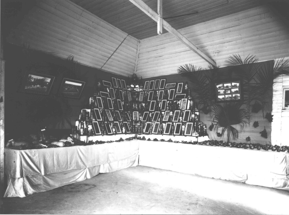 Exhibit of dried and bottled fruits in the Cannery [Hawkesbury Agricultural College (HAC)]