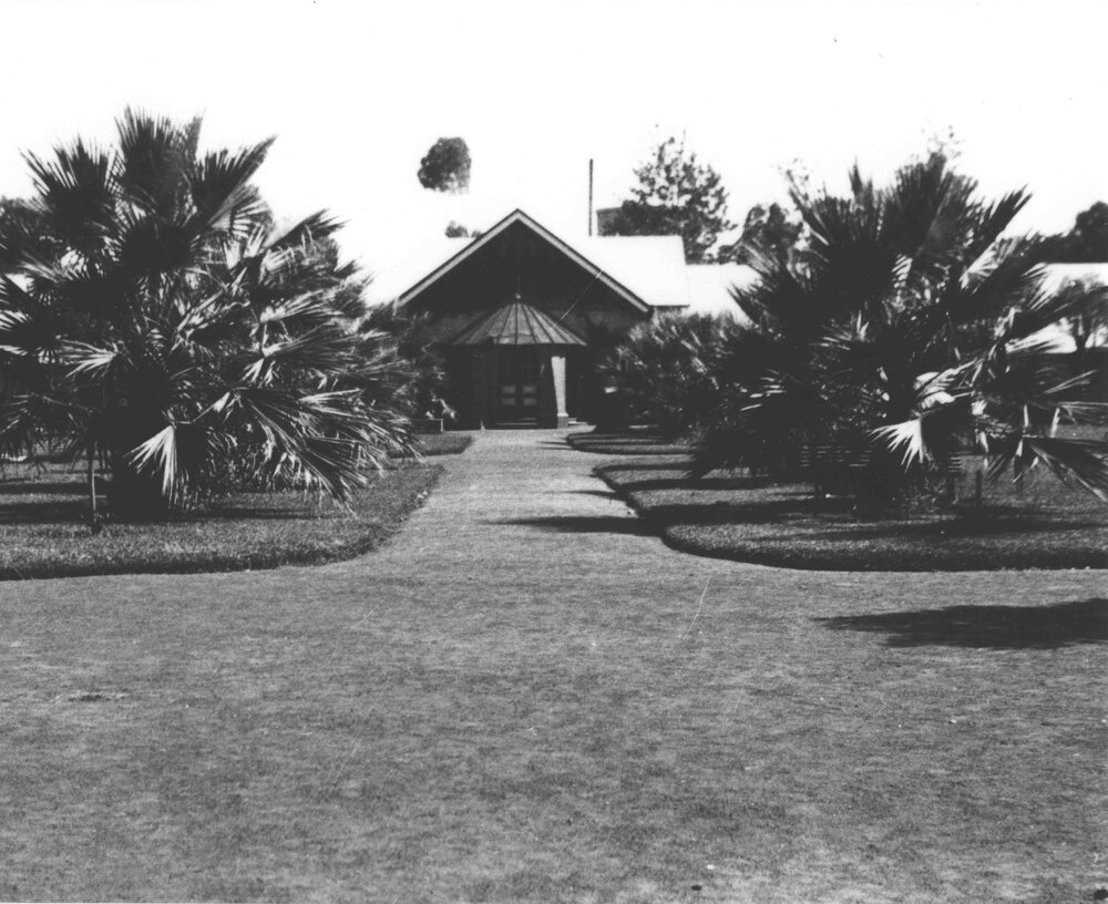Dining Hall - main path in the Quadrangle with palms on either side [Hawkesbury Agricultural College (HAC)]