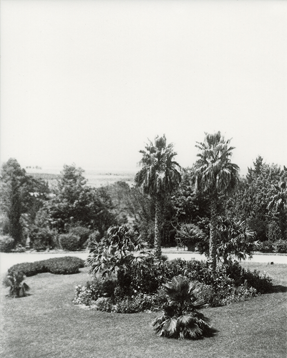Garden in front of the Main Administration Building [Hawkesbury Agricultural College (HAC)]