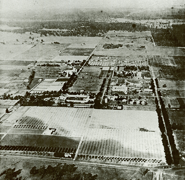 Aerial photograph - Looking South-East (SE) with orchard in foreground - Quadrangle over poultry in distance [Hawkesbury Agricultural College (HAC)]
