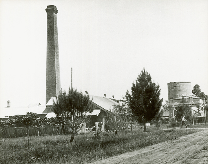 Powerhouse showing chimney and water tower [Hawkesbury Agricultural College (HAC)]