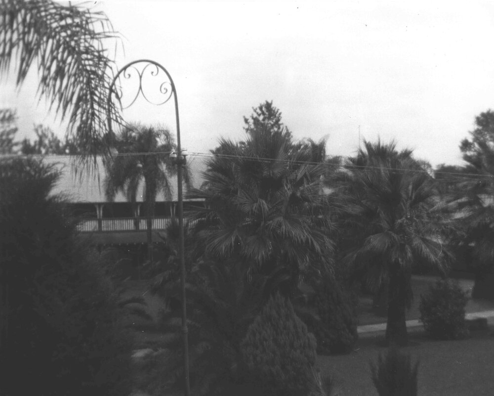 Quadrangle - good growth of vegetation [Hawkesbury Agricultural College (HAC)]