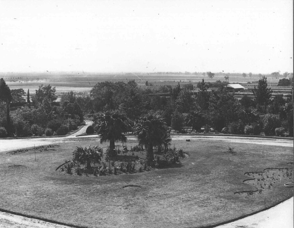 Scene across front garden (Fairy Circle) to North-East (NE) [Hawkesbury Agricultural College (HAC)]