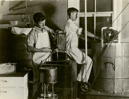 Apiary - Students extracting honey - uncapping the comb with steam heated knife [Hawkesbury Agricultural College (HAC)]