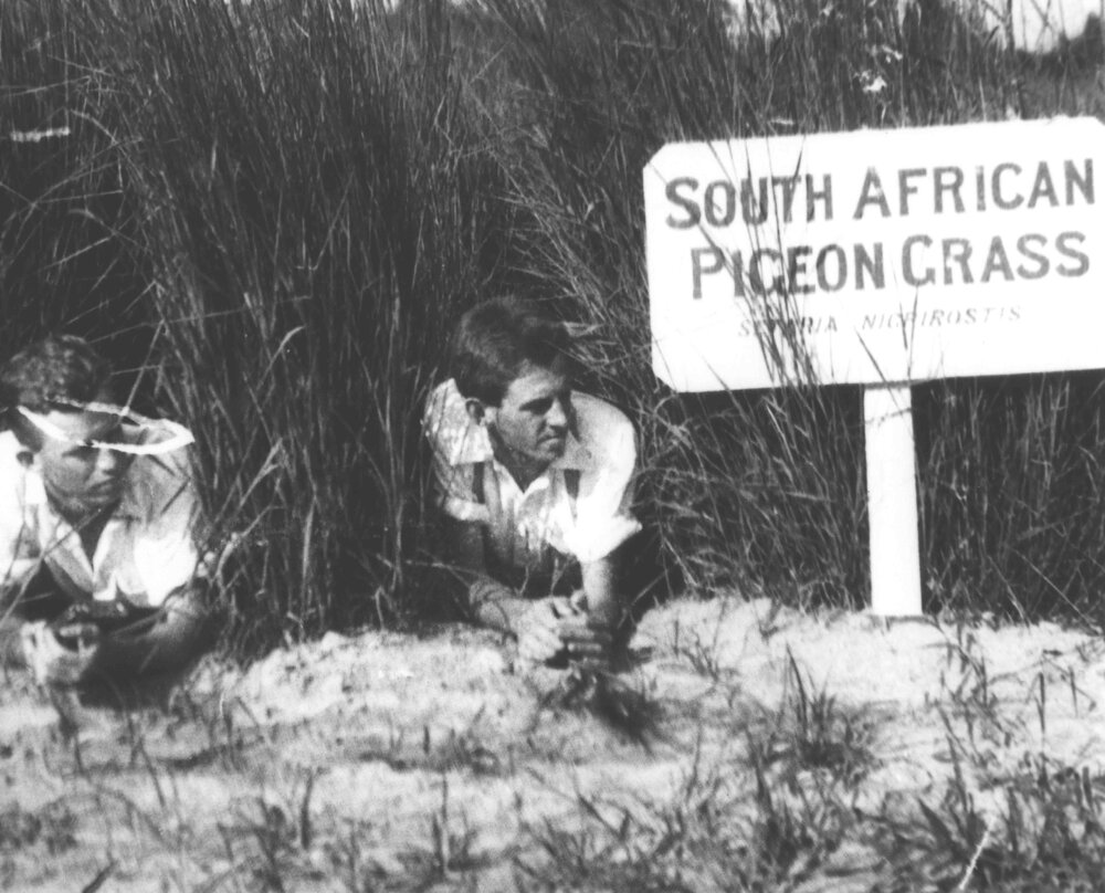 Experimental Plots: Two students lying in a plot of South African Pigeon Grass [Hawkesbury Agricultural College (HAC)]